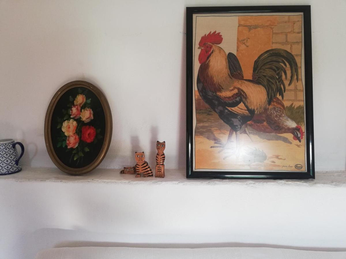 Country Side Loft Leilighet Valencia Eksteriør bilde